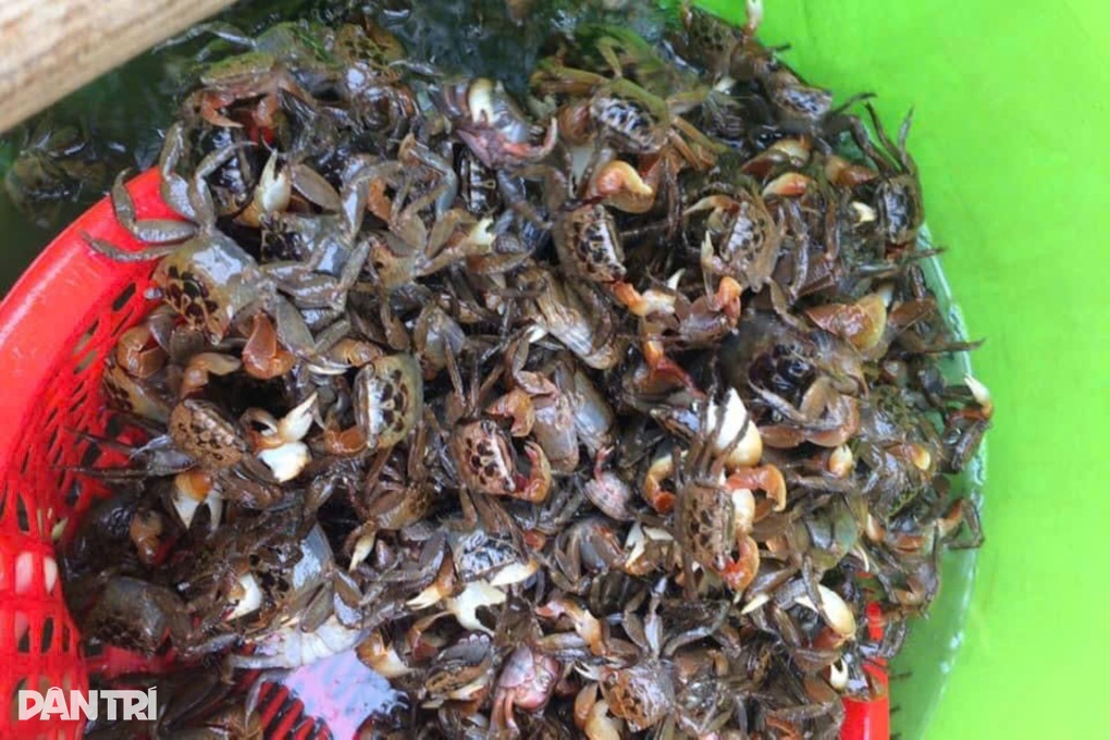 Nữ giáo viên mầm non kiếm nửa tỷ đồng mỗi năm nhờ món quà quê giã bằng tay - 2 Nữ giáo viên mầm non kiếm nửa tỷ đồng mỗi năm nhờ món quà quê giã bằng tay - 2