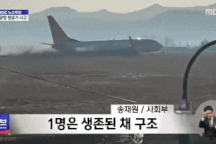 Khoảnh khắc máy bay Hàn Quốc cháy như cầu lửa, khiến 29 người thiệt mạng