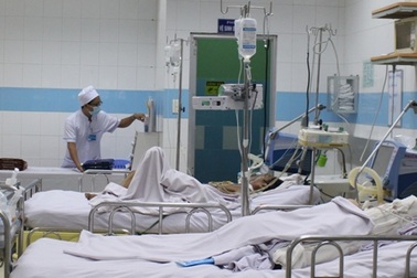 5 người chết vì bị chó dại tấn công