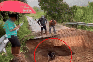 Khoảnh khắc đất đá bất ngờ đổ sập, chôn vùi người đàn ông suốt 20 phút