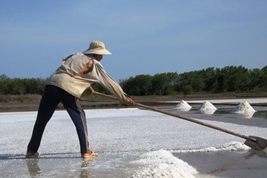 Diêm dân tồn hàng chục nghìn tấn muối ngoài đồng