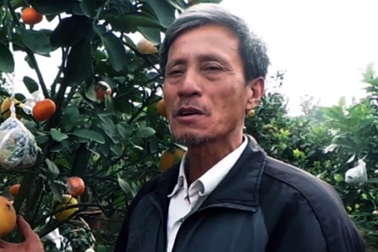 Chuyện về lão nông “phù phép” ra cây ngũ quả ở Hà Nội