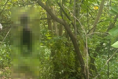 Đi chăn bò phát hiện thi thể đang phân hủy