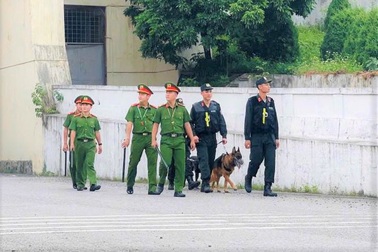 Dùng chó nghiệp vụ tuần tra, bảo đảm an ninh tại Nhà máy thủy điện Hòa Bình