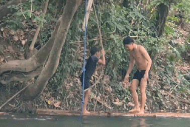 Hình ảnh động vật nổi bật: Rắn từ trên cây rơi xuống 2 đứa trẻ bên dưới