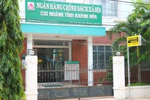 Kiểm tra việc Giám đốc ngân hàng Chính sách kiêm Chủ tịch HĐQT công ty