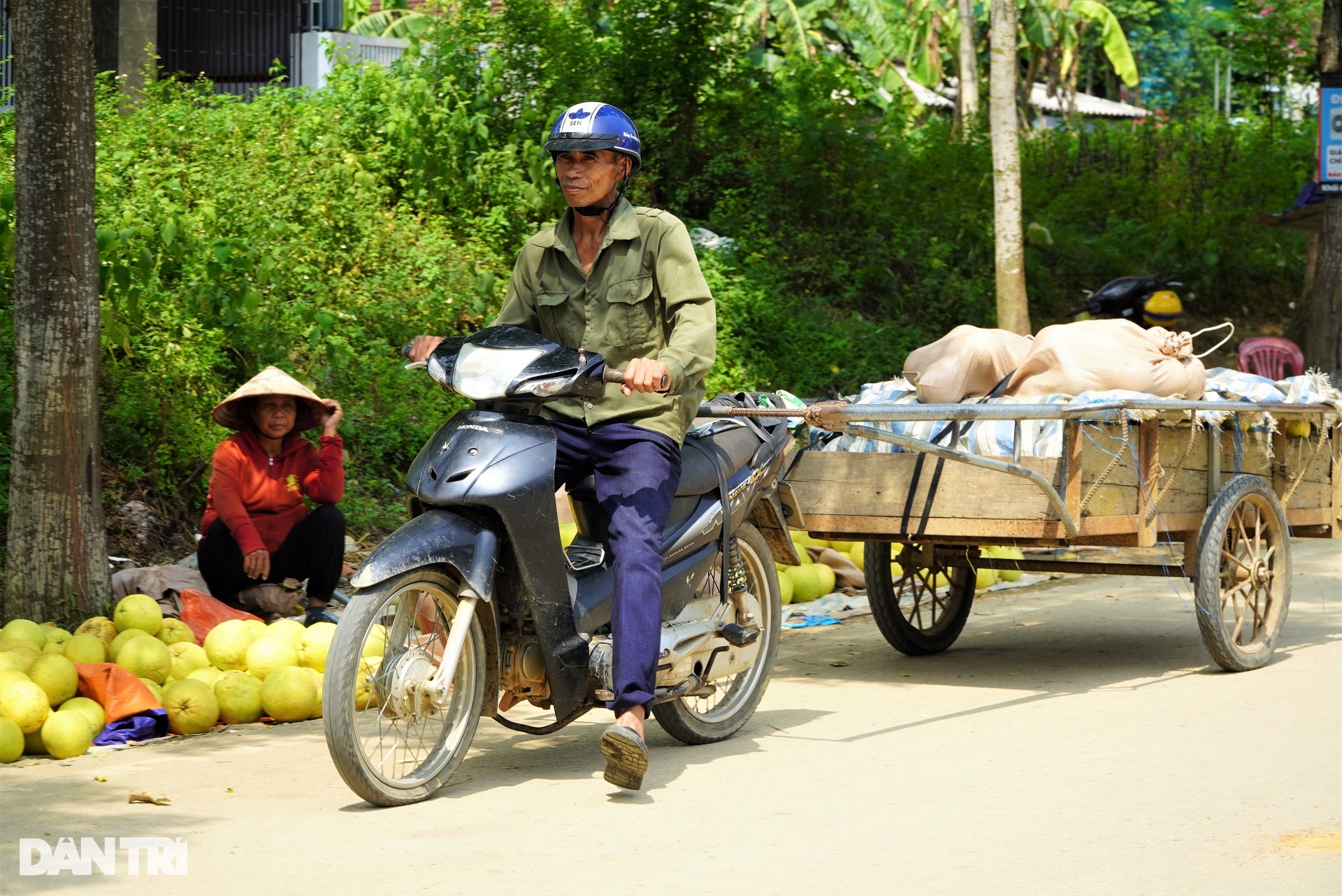 View - Phiên chợ có một không hai, chỉ bán "đệ nhất danh quả" | Báo Dân trí