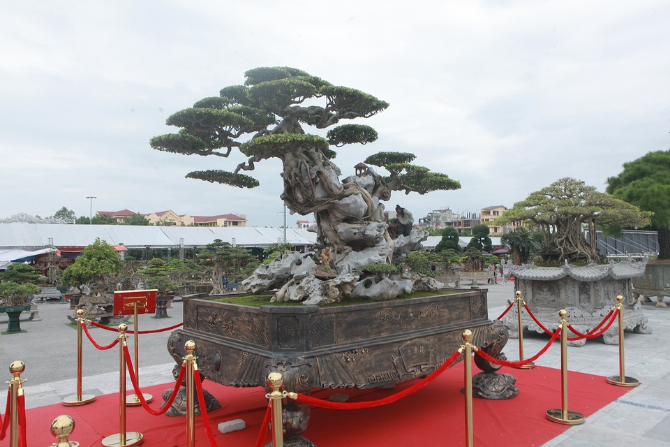Ngỡ ngàng với huyền thoại sanh cổ ký đá kỳ vĩ nhất Việt Nam - 7 Ngỡ ngàng với huyền thoại sanh cổ ký đá kỳ vĩ nhất Việt Nam - 7