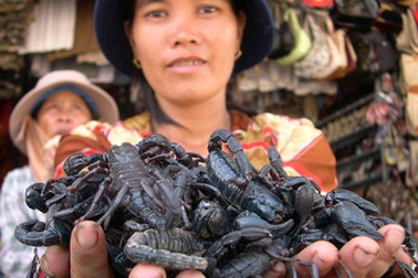 Phụ nữ miền Tây với những nghề “kinh dị”