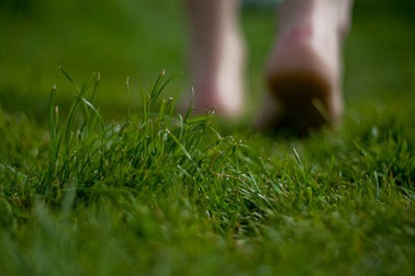 Về quê nhớ nội