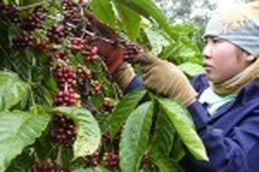 Chiêu trò chữa bách bệnh bằng 'nhân điện'