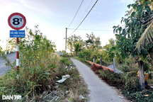 Bé Hàn Quốc mất liên lạc 7 năm trước đang sống với người quen ở Việt Nam?