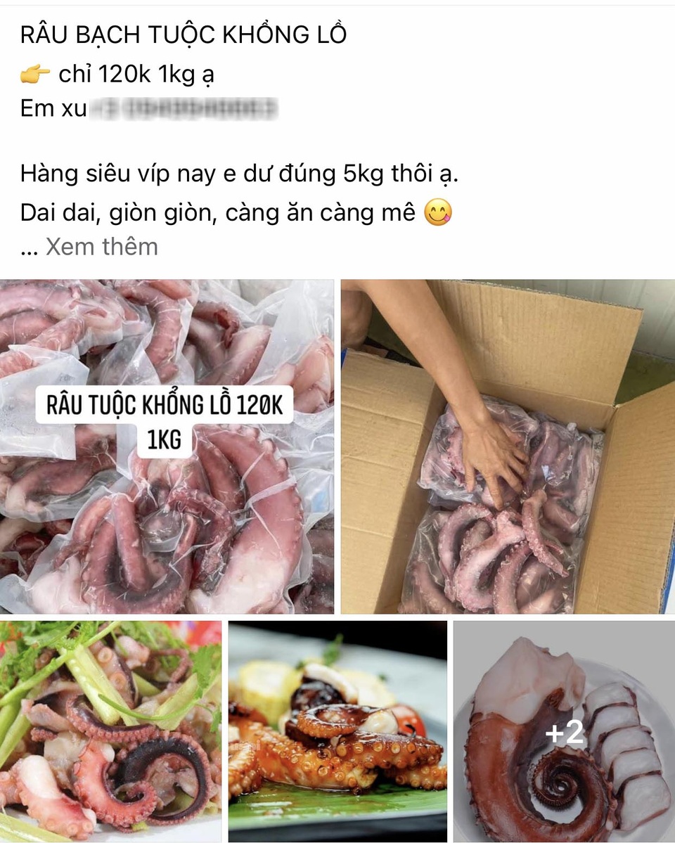 Râu bạch tuộc Nhật Bản giá siêu rẻ được bán đầy chợ mạng - 1 Râu bạch tuộc Nhật Bản giá siêu rẻ được bán đầy chợ mạng - 1
