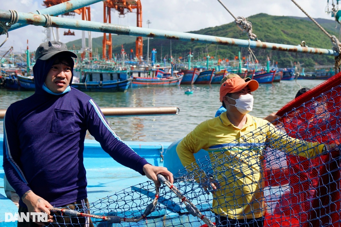 Nhiều tàu cá nằm bờ vì thiếu lao động - 2 Nhiều tàu cá nằm bờ vì thiếu lao động - 2