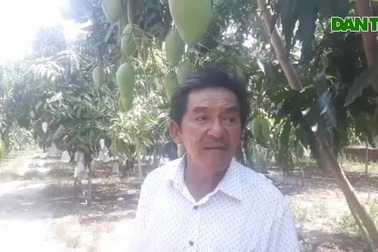 Nông dân Bình Định biến vùng đất "chết" đẻ ra tiền