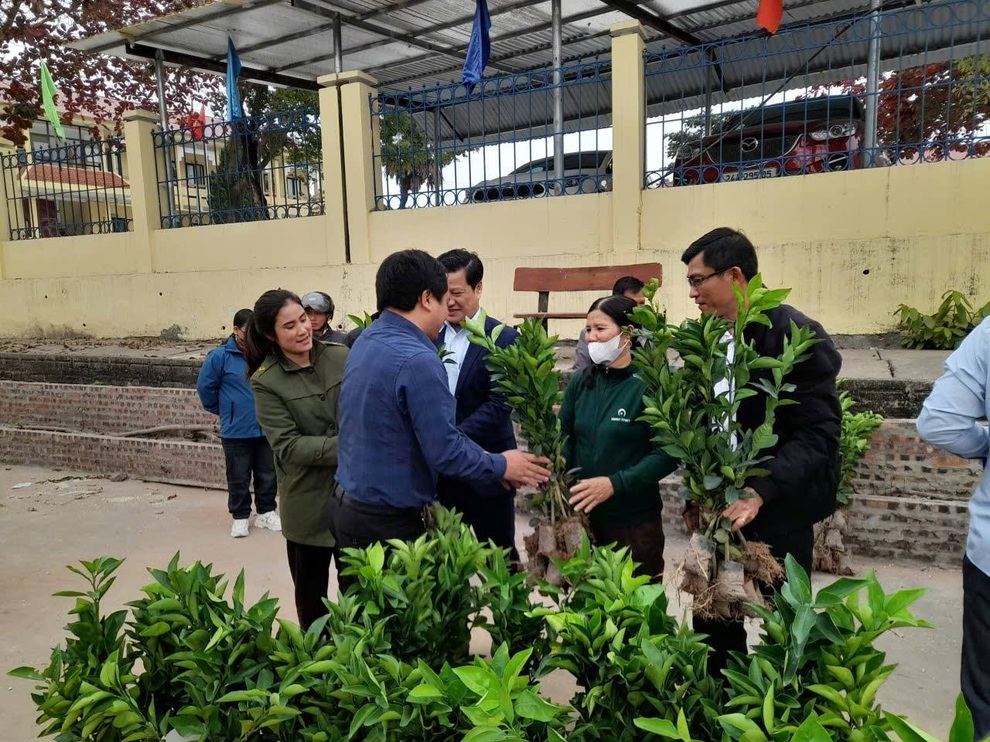 Phúc Khánh mở rộng diện tích trồng cam V2 giúp người dân thoát nghèo - 1 Phúc Khánh mở rộng diện tích trồng cam V2 giúp người dân thoát nghèo - 1