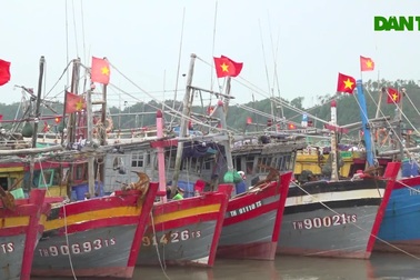 Sẵn sàng các phương án trước khi bão số 8 đổ bộ đất liền