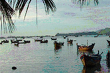 Ra mắt Khu bảo vệ hệ sinh thái biển Rạn Trào