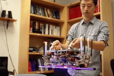 Độc đáo cánh tay robot bám dính theo ý muốn lấy cảm hứng từ… tắc kè!