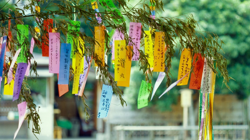Tanabata - Lễ hội tình nhân của xứ sở hoa anh đào - 6 Tanabata - Lễ hội tình nhân của xứ sở hoa anh đào - 6