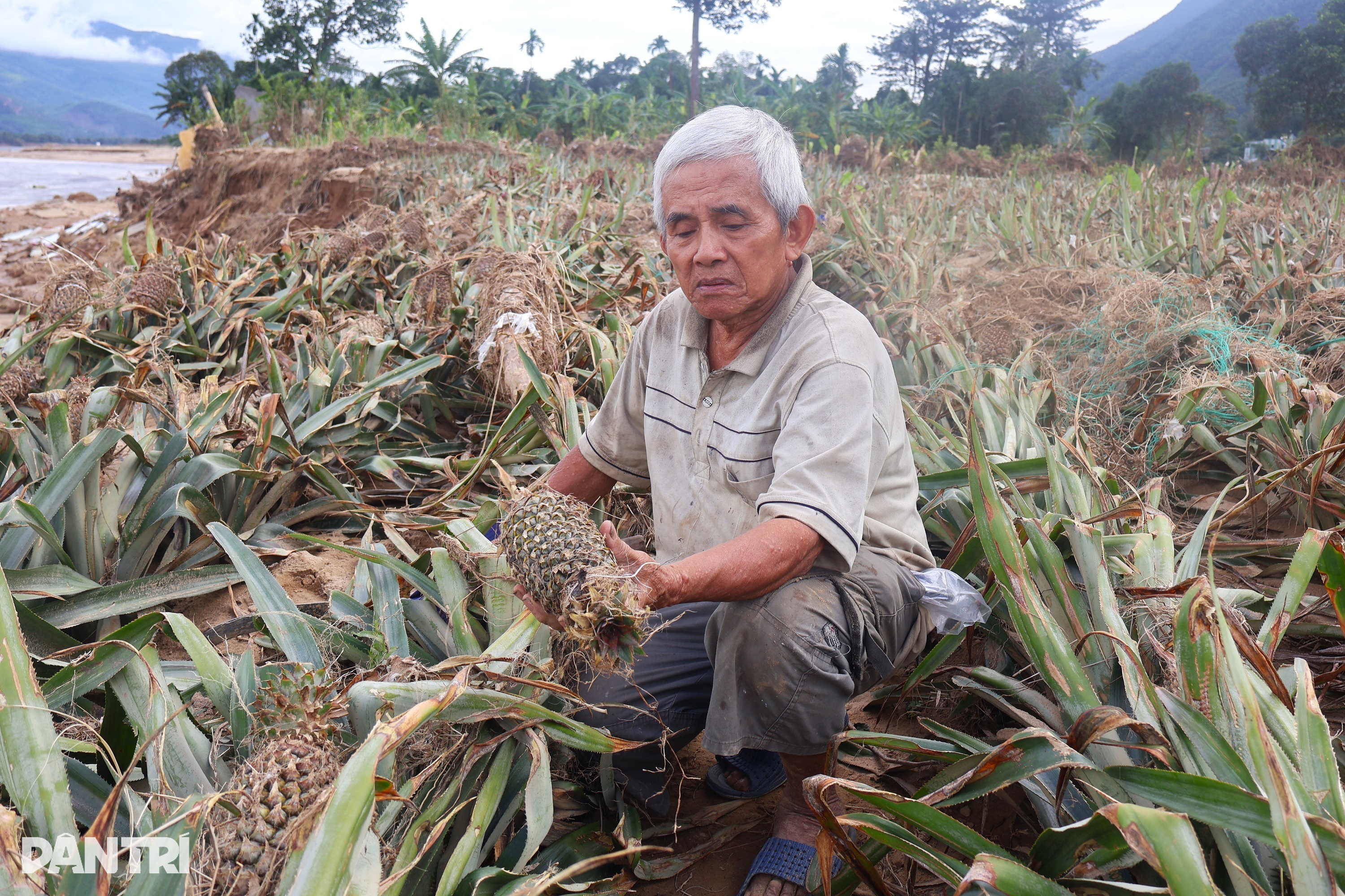 Cảnh tay trắng của người dân thượng nguồn sông Vu Gia sau lũ lớn - 3 Cảnh tay trắng của người dân thượng nguồn sông Vu Gia sau lũ lớn - 3