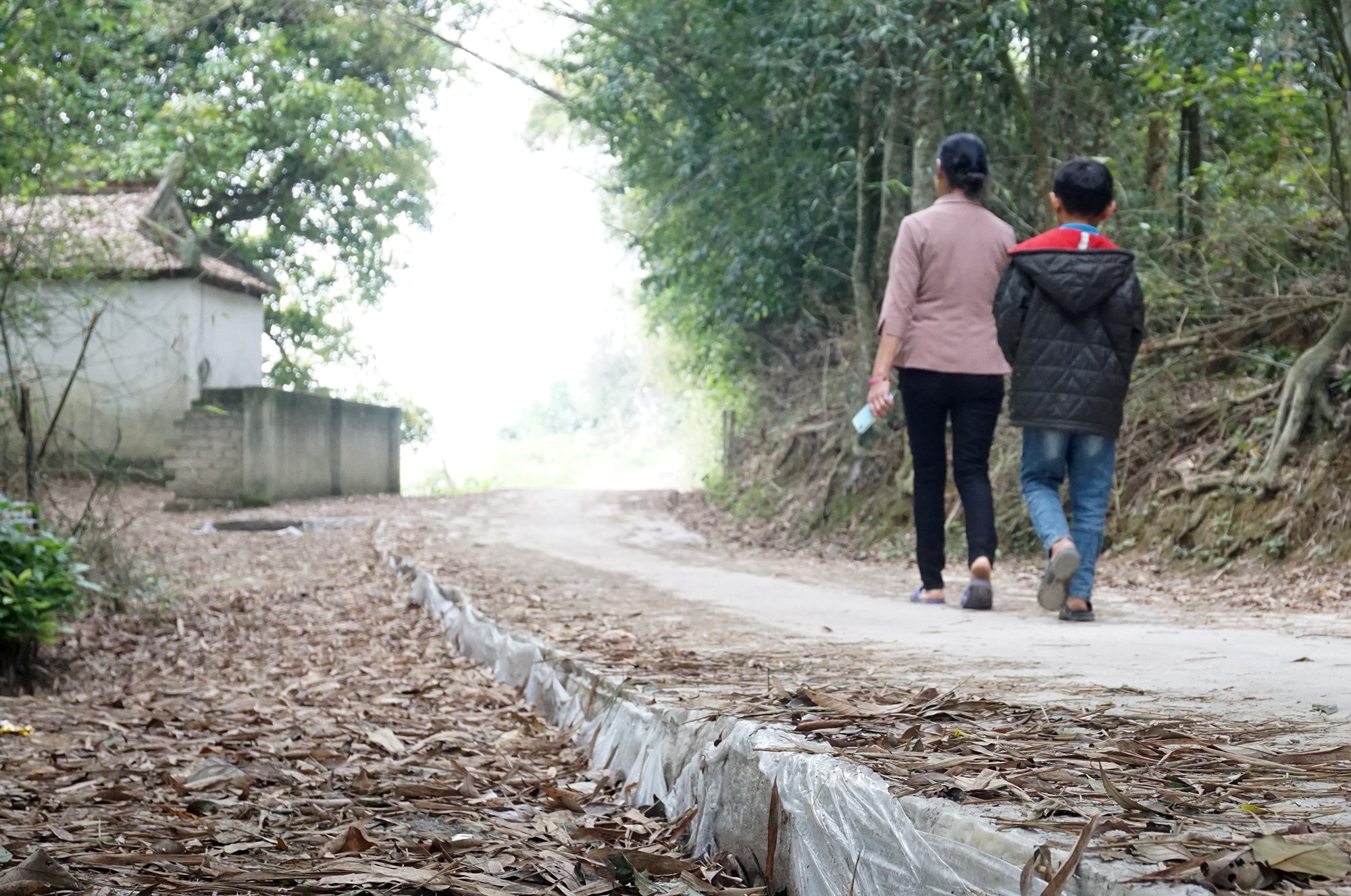 Cậu bé mồ côi cha mổ lợn góp tiền làm đường cho mẹ đi làm đồng - 6 Cậu bé mồ côi cha mổ lợn góp tiền làm đường cho mẹ đi làm đồng - 6