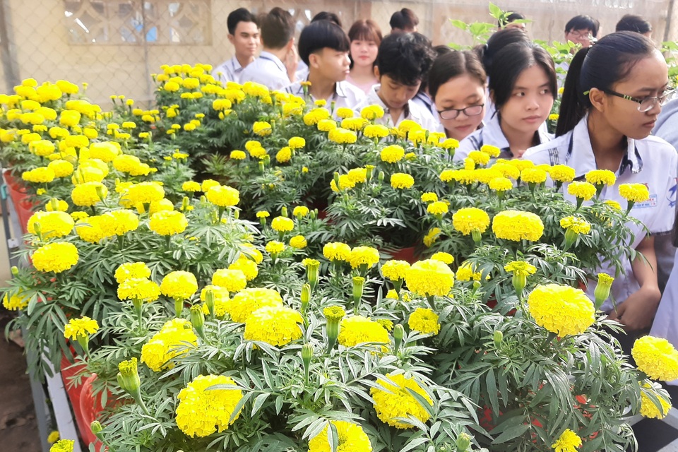 Học tập theo dự án STEM, Tết này em có hoa trưng Tết do chính mình trồng! - 5 Học tập theo dự án STEM, Tết này em có hoa trưng Tết do chính mình trồng! - 5