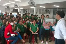 TP.HCM: Khởi kiện, thu hồi hơn 198,4 tỉ đồng nợ BHXH