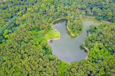 "Cha đẻ" của Vườn thực vật gửi đơn kiến nghị tới Bí thư, Chủ tịch Hà Nội