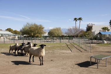 Cận cảnh nông trại thực phẩm hữu cơ lớn nhất nước Mỹ