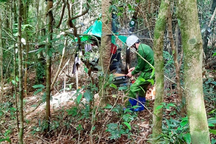 Hai bộ xương khô giữa rừng khả năng là thi thể của cha và con