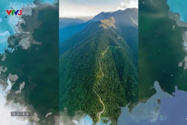 Đường lên đỉnh Olympia đính chính thông tin sai trong số phát sóng 22/8