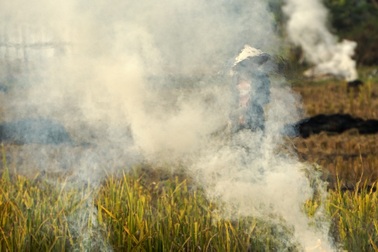 Hà Nội đang bị "hun khói"