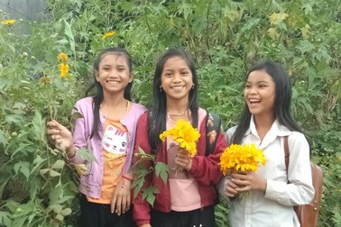 Học sinh vùng cao tặng hoa rừng, cá suối tri ân thầy cô ngày 20/11