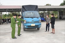 Hai đối tượng lái ô tô tải đi trộm trâu bò