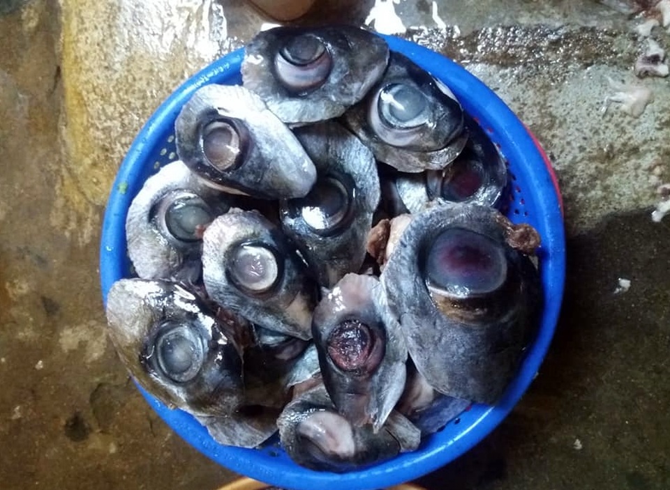 Lạ lùng đặc sản Lạ lùng đặc sản