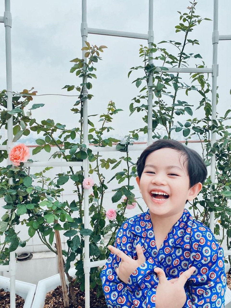 Ngắm khu vườn ngập hoa hồng trên ban công của Khánh Thi- Phan Hiển - 11 Ngắm khu vườn ngập hoa hồng trên ban công của Khánh Thi- Phan Hiển - 11