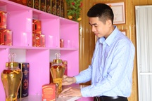 Thu tiền tỷ nhờ nuôi dược liệu quý "cần cho cánh mày râu"