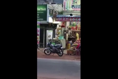 Khỉ tinh ranh lấy trộm chuối từ cửa hàng tạp hóa