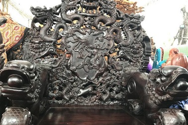 Thương lái Trung Quốc chi triệu USD gom gỗ trắc; dân Việt tranh uống trà 10 triệu đồng/kg