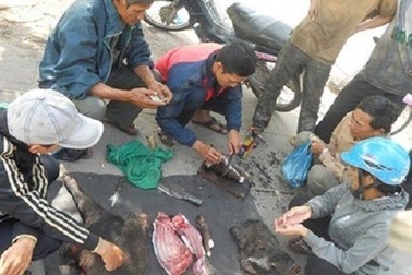 Mổ thịt cá mập, trăn khủng trên vỉa hè 