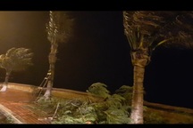 Hải Phòng mưa lớn, biển động; Quảng Ninh giải cứu 8 ngư dân mắc kẹt