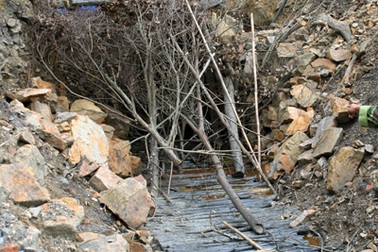 “Than tặc” đã xâm hại rừng đặc dụng Yên Tử