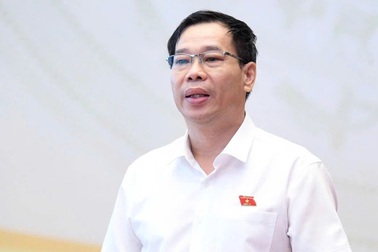 "Bản chất là 2 loại thanh tra, sao lại quy định thống nhất một hoạt động?"