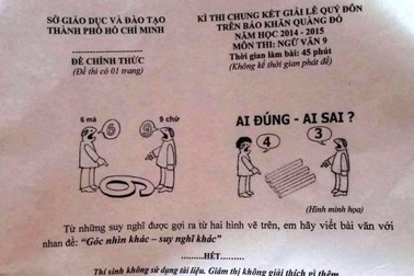 Thích thú với đề Văn sử dụng hình vẽ