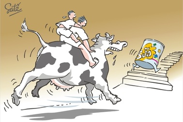 "Lời ru buồn về sữa"