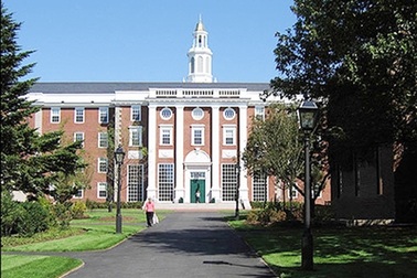 Trào lưu du học sớm - thách thức giáo dục nội 