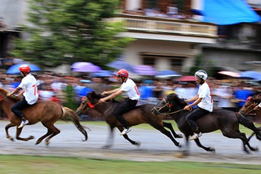 Kịch tính màn đua ngựa trên cao nguyên trắng Bắc Hà