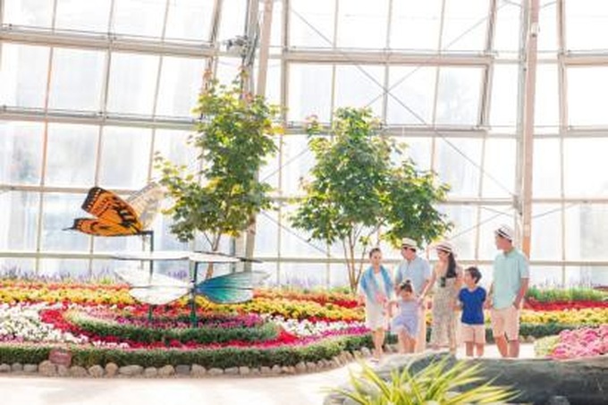 Người dân miền Trung, Tây Nam Bộ tận hưởng ưu đãi chưa từng có từ Vinpearl Land & Safari - Ảnh 5. Người dân miền Trung, Tây Nam Bộ tận hưởng ưu đãi chưa từng có từ Vinpearl Land & Safari - Ảnh 5.