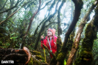 Ngủ đêm trong rừng, dậy từ 3h để "săn" bình minh ở độ cao gần 3.000m - 15